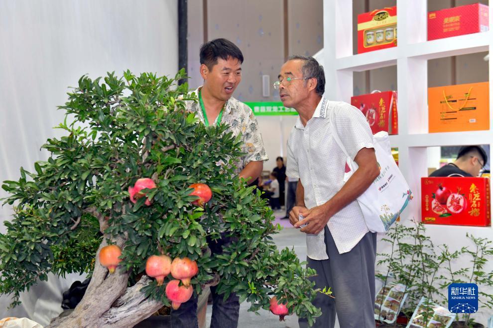 娱乐平台登录网址3